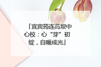 宜宾筠连蒿坝中心校：心“芽”初绽，自暖成光